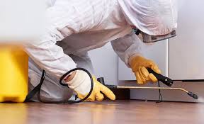 Real Estate Pest Inspections in Littlefield, TX